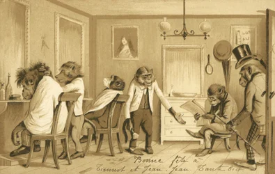 Monkey Running a Barber Shop